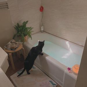 18禁动漫男男被❌吸乳视频
